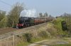 48151 Bay Horse.jpg