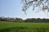 30541 New Road Bridge 21.4.2019.jpg