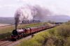 6201_Ribblehead_300419.jpg