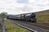 DSC_16079.jpg