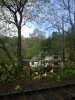 IMG_20190503_103925.jpg