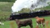 Steam Across Scotland pt2_FreezeFrame_3.jpg