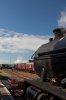 IMG_4113LR.jpg