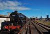 IMG_4124LR.jpg