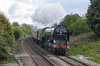 DSC_16154.jpg