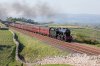 48151-(30)-Birkett-Common-casg.jpg
