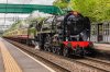 EOS 5D Mark IV_190518_8625.jpg
