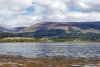 _DSC0678.jpg