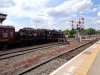 DSC00342-RESIZED.JPG