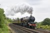 DSC_16276.jpg