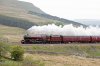 IMGL6851-casg.jpg