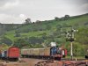 SDC12566-min.JPG