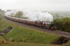 IMGL6904-casg.jpg