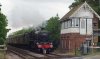 44871_Littleworth.jpg