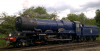 WP_20190525_077A.PNG