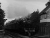 44871_Littleworth_mono.jpg