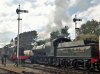 SDC12614-min.JPG