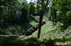 263 Courtland Wood 1.6.2019.jpg