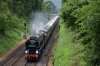 35028 Coppice Lane 7.6.2019.jpg