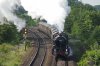 DSC05351.jpg