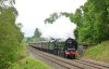 2012.06.02 015 46233 Arma footX NB1.jpg