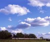 NR0505.jpg