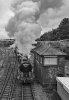 DSC_4766 34046 Sutton Bridge bw Jct 130619.JPG
