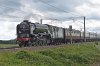 2019-06-15 60163 Marston_0898.jpg