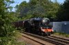 44871 Crowhurst Lane 22.6.2019.jpg