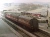 IMG_2211.jpeg