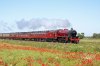 IMGL8597-casg.jpg
