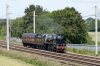 35018-01b.jpg