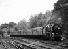 35018 brookwood 3.JPG