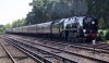 35018 brookwood 1.JPG