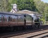 35018 brookwood nec.JPG