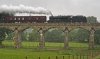 _DSC8738.jpg