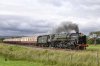 DSC_16880.jpg
