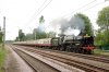 70000-01e.jpg
