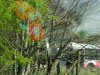 DSCF9318.JPG