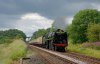 15A_1716.jpg