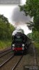 35028 stratford.005.jpg