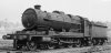 NWR-7F-2-2.jpg