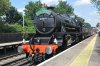 44871-23.jpg