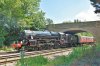 16-07-19   44871  Sunnymeads.jpg