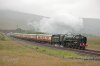 Britannia-(27)-casg.jpg