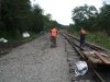 DSCF4528.JPG