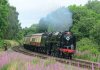 Britannia 20-07-19 019_000015043 Salop 30-09-17 1.jpg