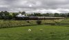 NB 60103 1b.jpg