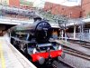 DSC00710-resized.JPG