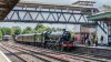 HerefordStation-2019-07-20-24-45596Bahamas.jpg